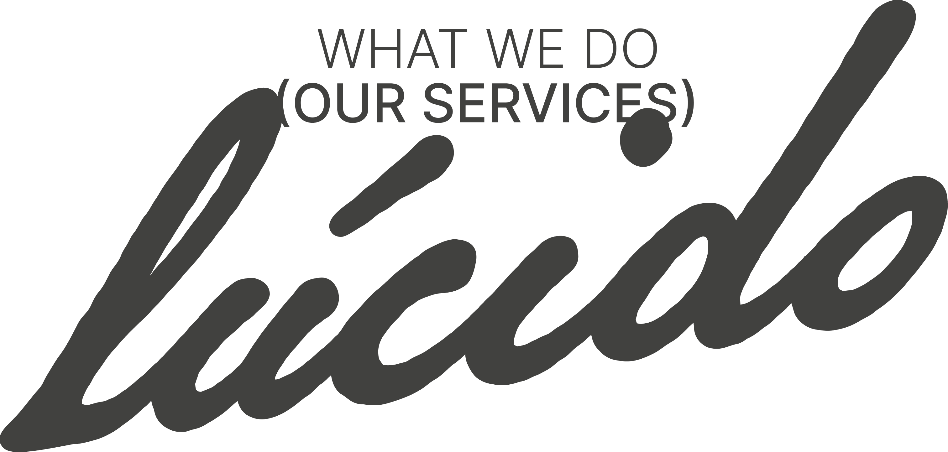 What we do (Our Services) — lúcido